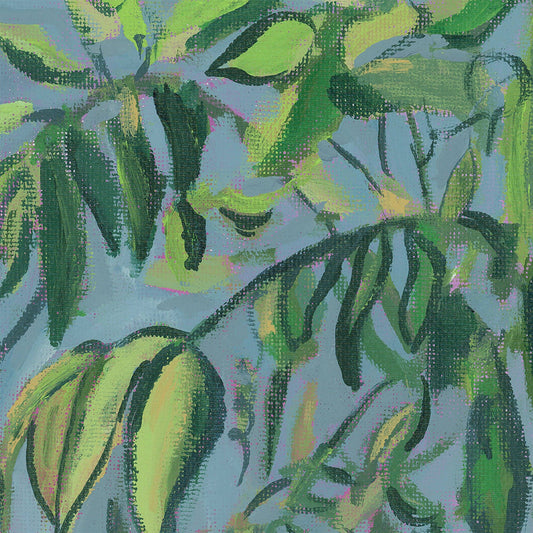 Vine Study on Blue