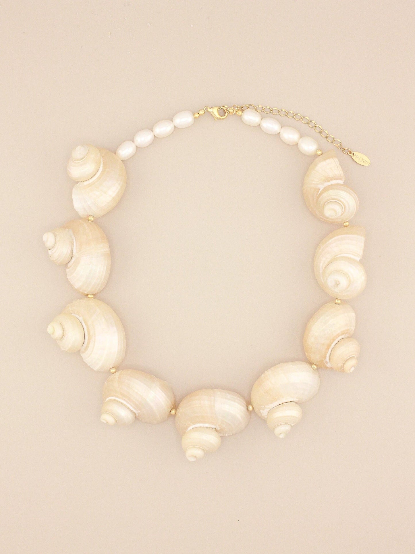 Multi Jumbo Turbo Shell Necklace
