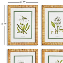 Load image into Gallery viewer, White Floral Study, Set Of 4