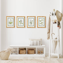 Load image into Gallery viewer, White Floral Study, Set Of 4