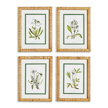 Load image into Gallery viewer, White Floral Study, Set Of 4