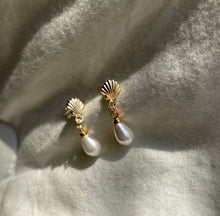 Load image into Gallery viewer, Beyond The Sea Seashell Pearls