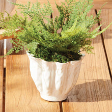 Load image into Gallery viewer, Lillian Pot SM - Antique White Ceramic Cachepot - Drain Hole