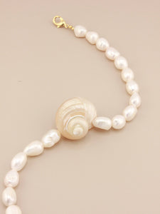 Jumbo Turbo Shell Necklace