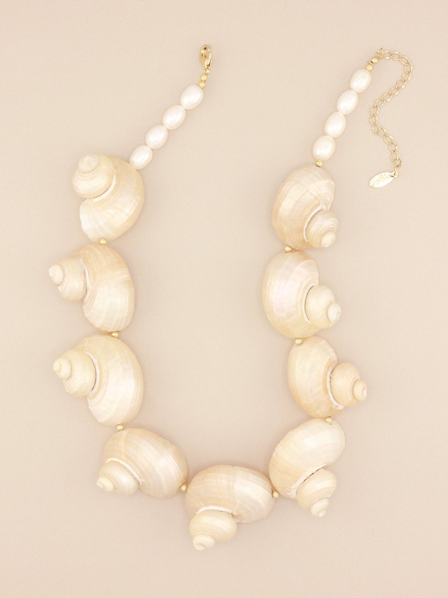 Multi Jumbo Turbo Shell Necklace