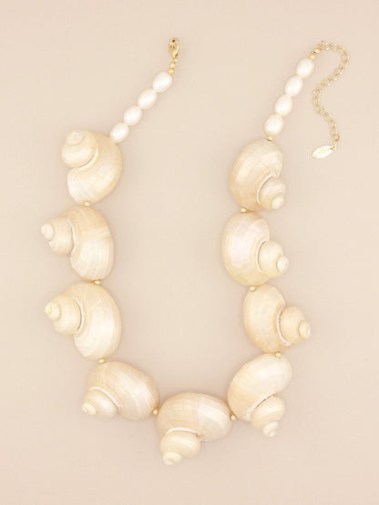 Multi Jumbo Turbo Shell Necklace