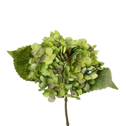 Hydrangea Pick Kiwi Green 13 Inch