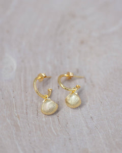 Shell Drop Earrings