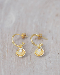 Shell Drop Earrings