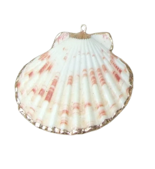 Natural Shell Pendent, Gold Dipped - Light Pink