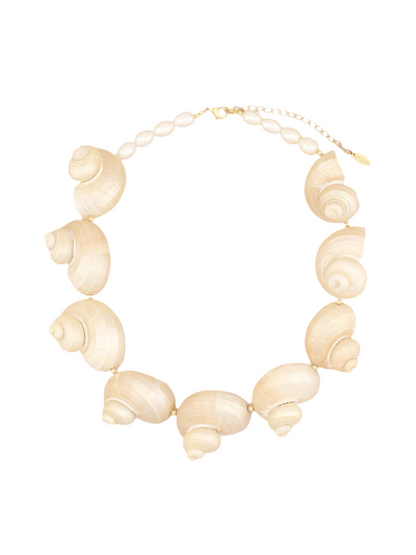 Multi Jumbo Turbo Shell Necklace