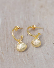 Load image into Gallery viewer, Shell Drop Earrings