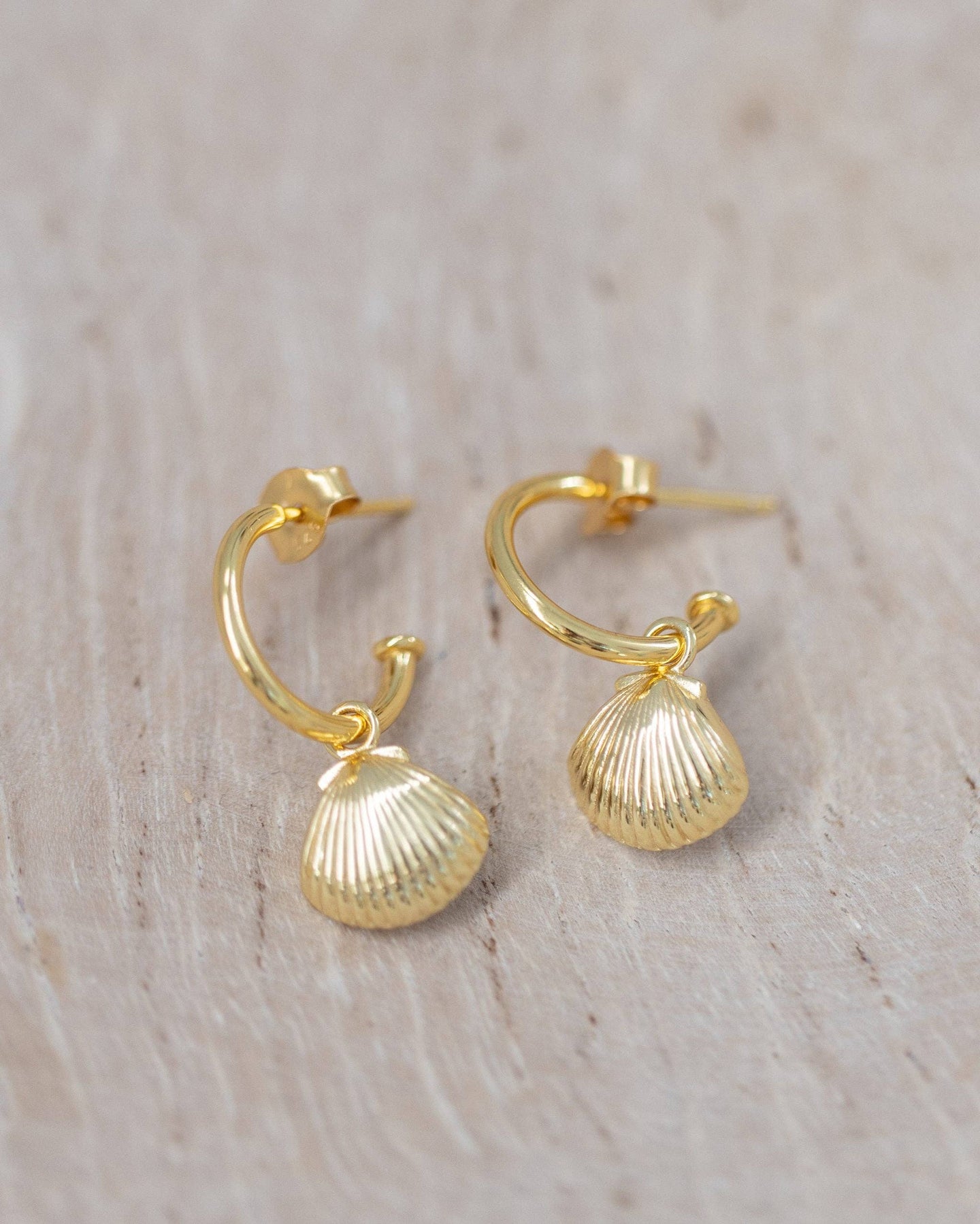 Shell Drop Earrings