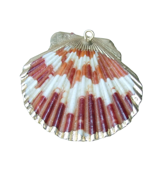 Natural Shell Pendent, Gold Dipped - Dark Pink