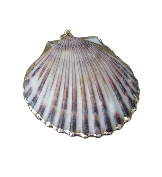Natural Shell Pendent, Gold Dipped - Brown