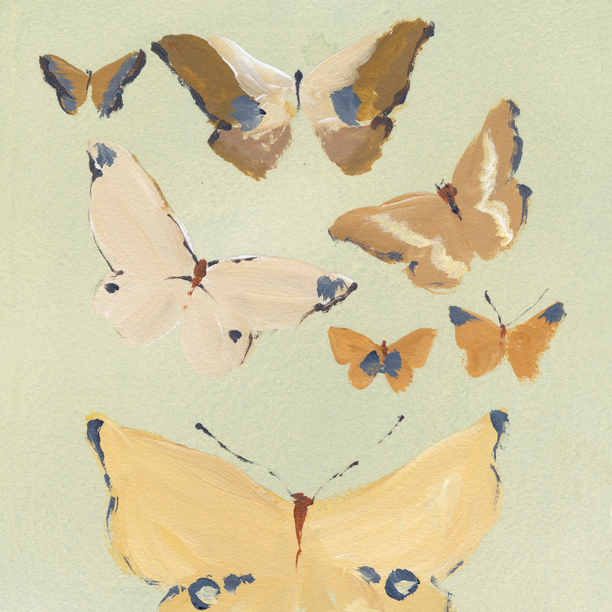 Butterfly Print: Natura No. 3