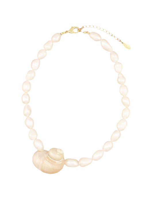 Jumbo Turbo Shell Necklace