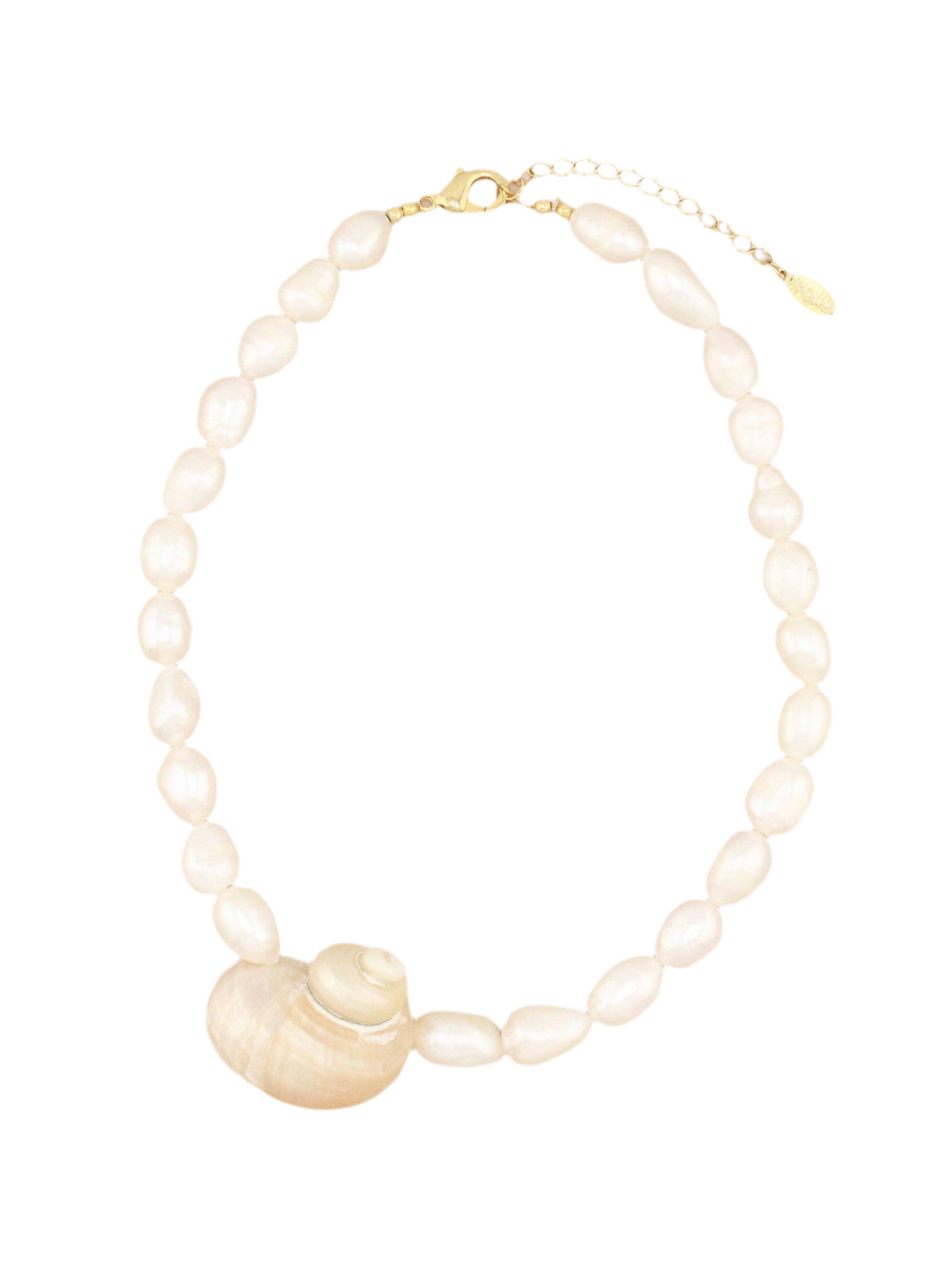 Jumbo Turbo Shell Necklace