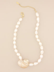 Jumbo Turbo Shell Necklace