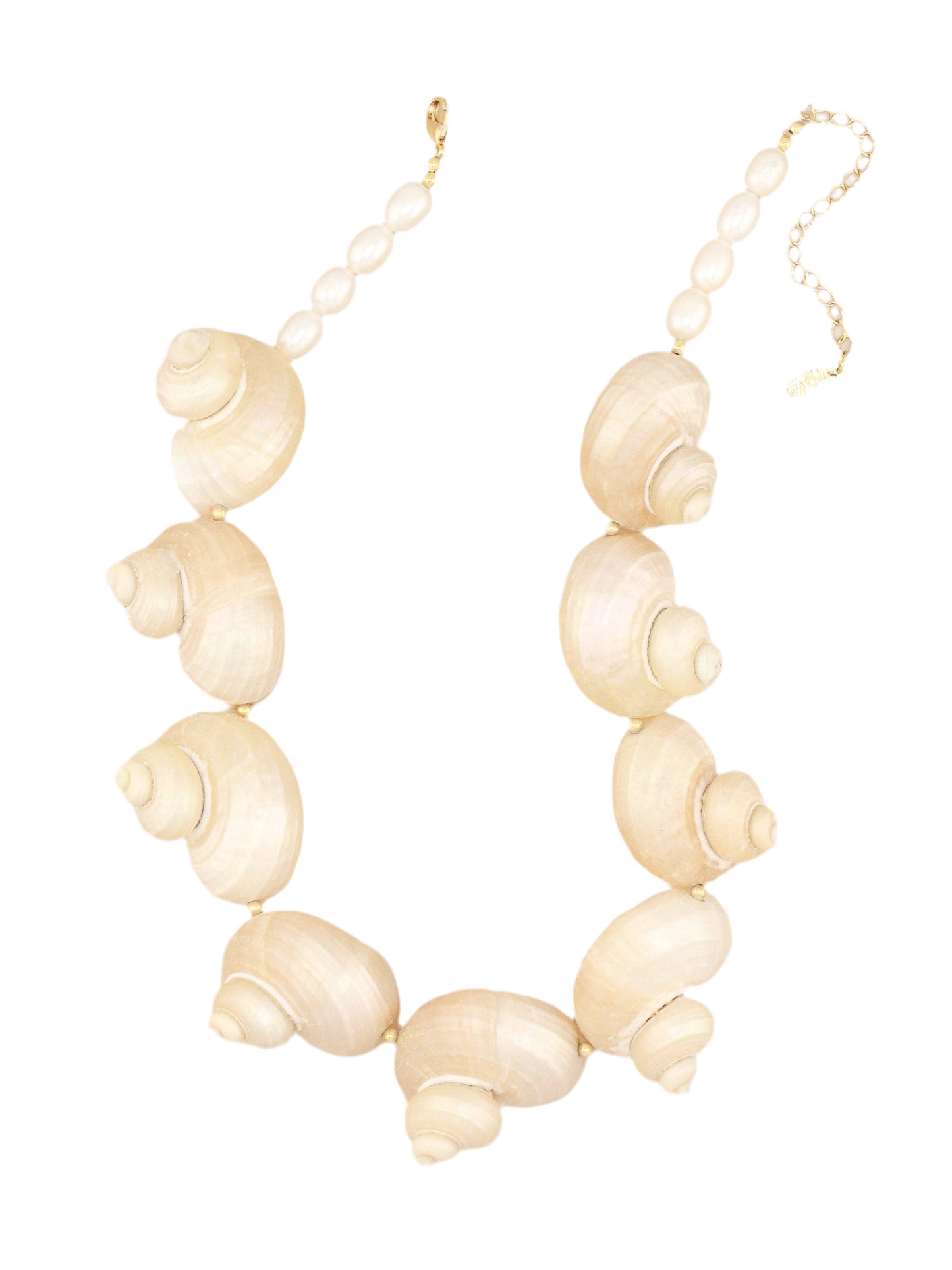 Multi Jumbo Turbo Shell Necklace