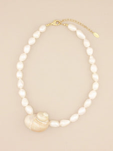 Jumbo Turbo Shell Necklace