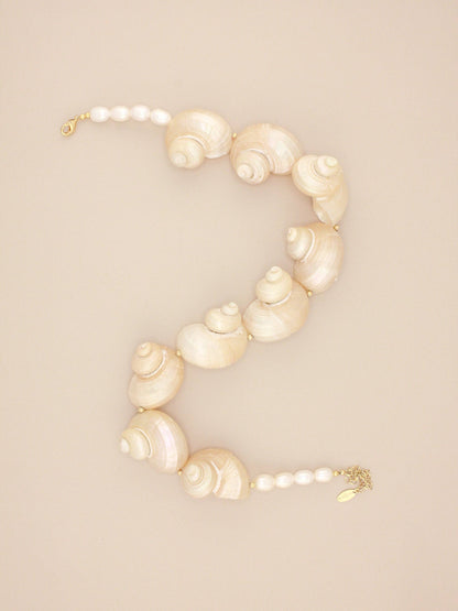 Multi Jumbo Turbo Shell Necklace