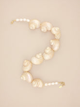 Load image into Gallery viewer, Multi Jumbo Turbo Shell Necklace