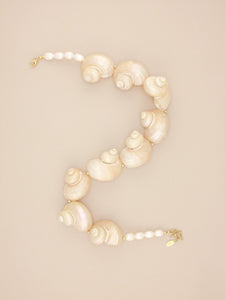 Multi Jumbo Turbo Shell Necklace