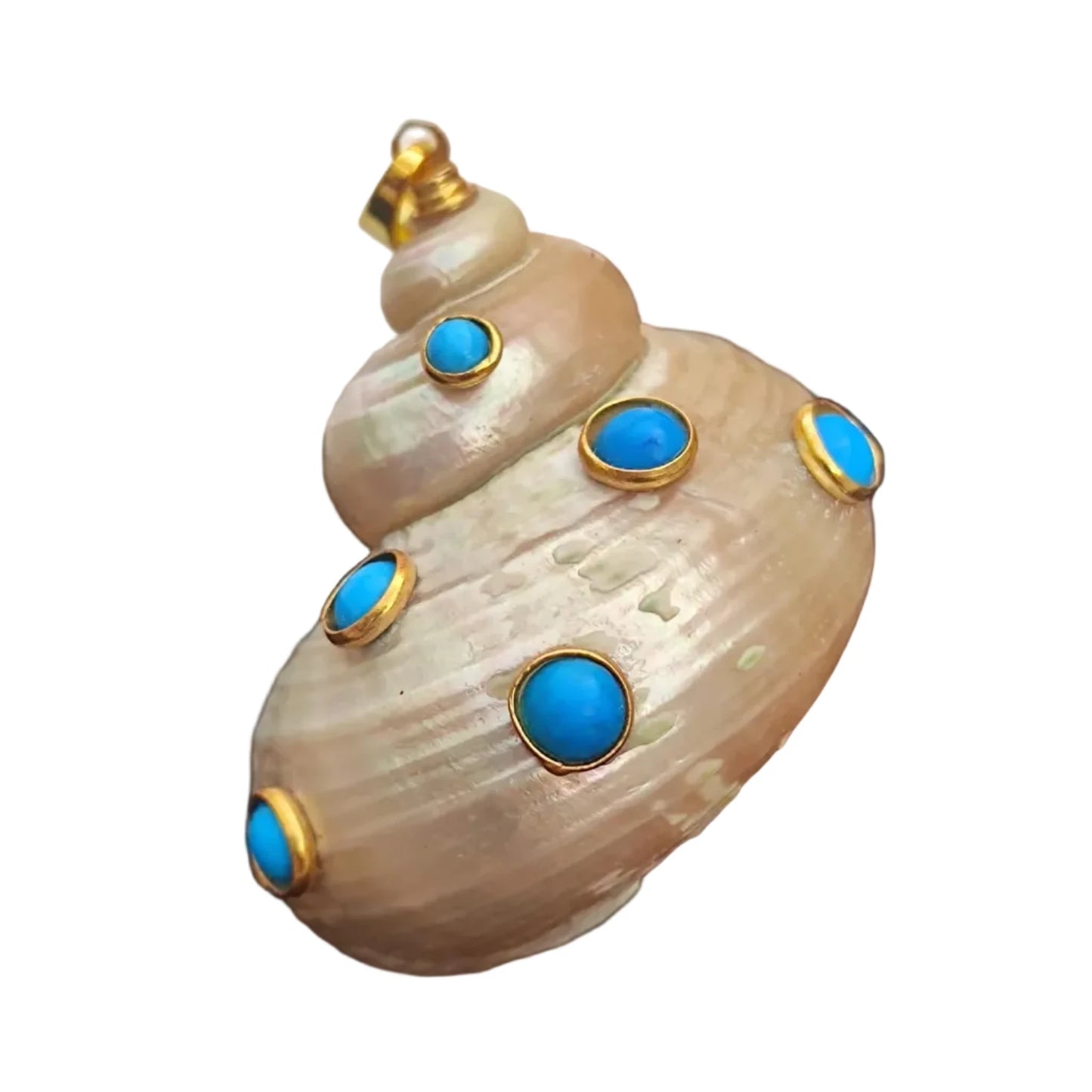 Shell with blue gemstones and gold accents on a dark background