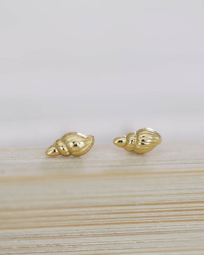 Tiny Tulip Shell Studs